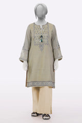 Brown Embroidered Ready To Wear Kurti