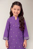 Dyed Embroidered Girls 2PC