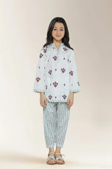 Embroidered Cotton Blue White 2PC