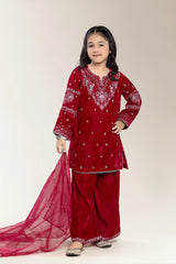 Embroidered Velvet Pink Girls 3PC