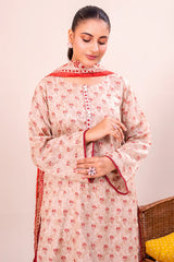 Printed 3PC Unstitched