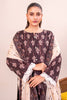 Printed 3PC Unstitched