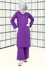 2PC Ready To Wear Purple Suit