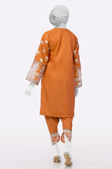 Rust Embroidered 2PC From Sohaye By Diners