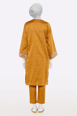 Brown Embroidered 2PC