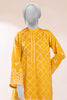 Yellow Embroidered 2PC