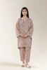 Printed Lawn Grey 2PC