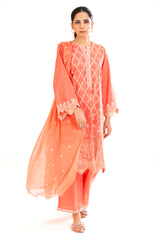 Embroidered 3PC