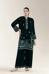 Dyed Embroidered Velvet Bottle Green 2Pc