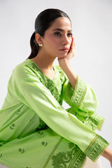 Light Green Embroidered Kurti