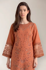 Dyed Embroidered 2PC
