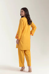 Dyed Embroidered 2PC
