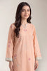 Dyed Embroidered 2PC