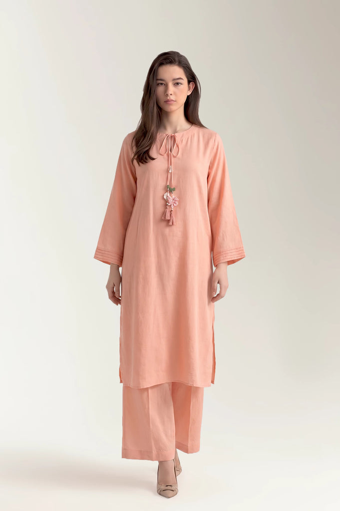 Dyed Embroidered 2PC
