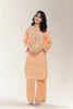Embroidered Peach Teens 2PC