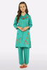 Sea Green Embroidered Teens 2PC