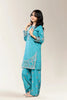 Embroidered Sea Green Teens 2PC