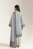 Printed Unstitched 3PC