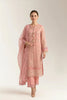 Embroidered Unstitched 3PC