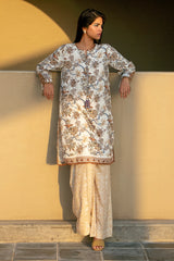 Brown Embroidered Unstitched 2PC
